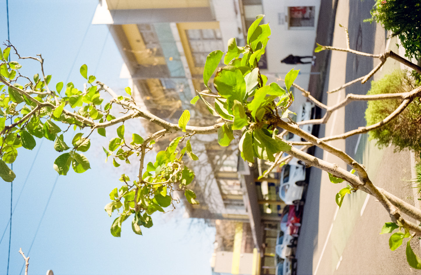 FILM TESTED Rollei 35T film camera