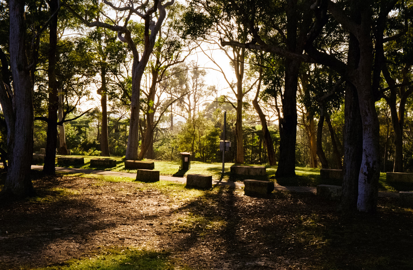 FILM TESTED Rollei 35 LED film camera