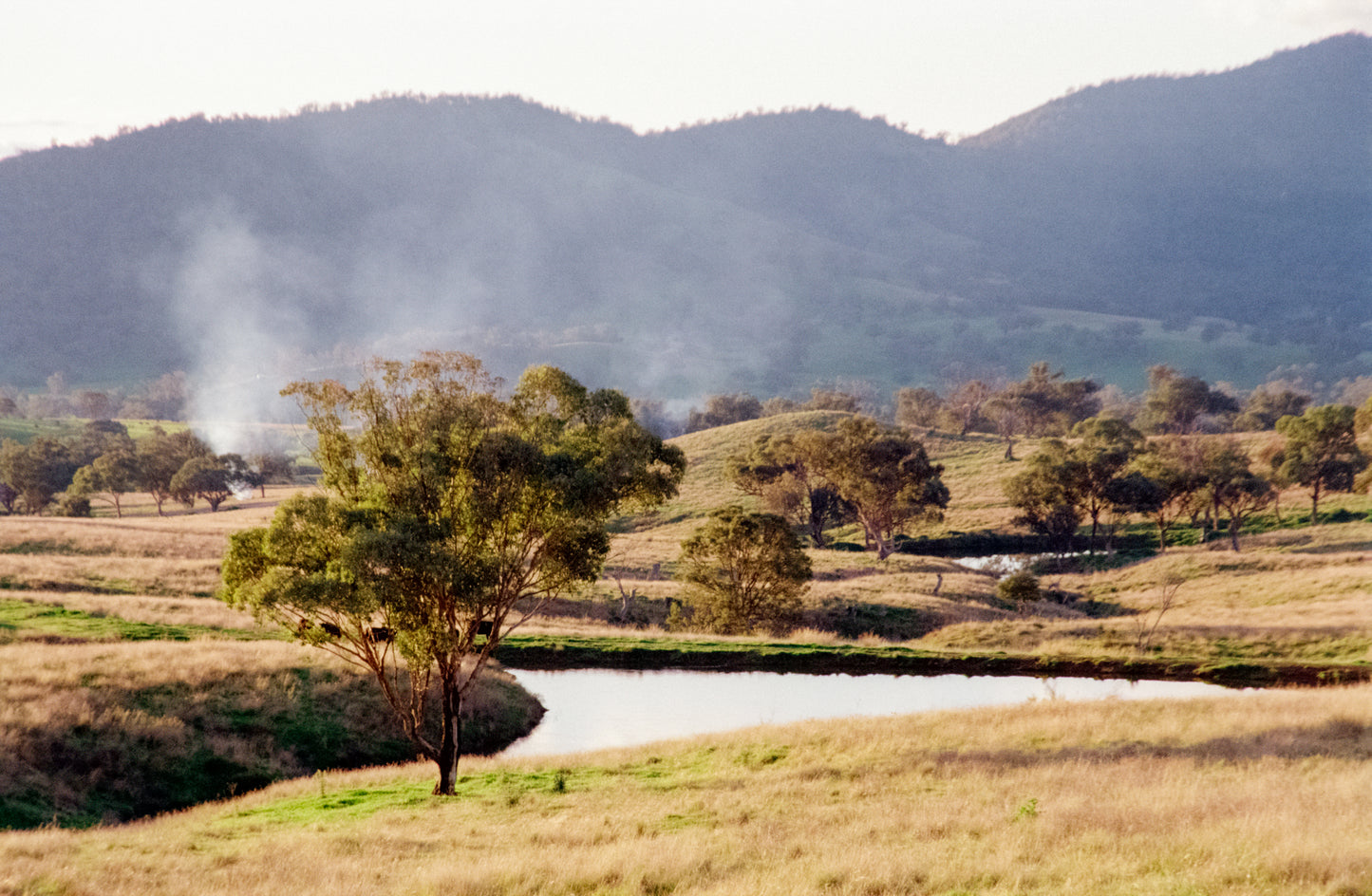 AF Nikkor 24-120mm f/3.5 lens for Nikon autofocus cameras