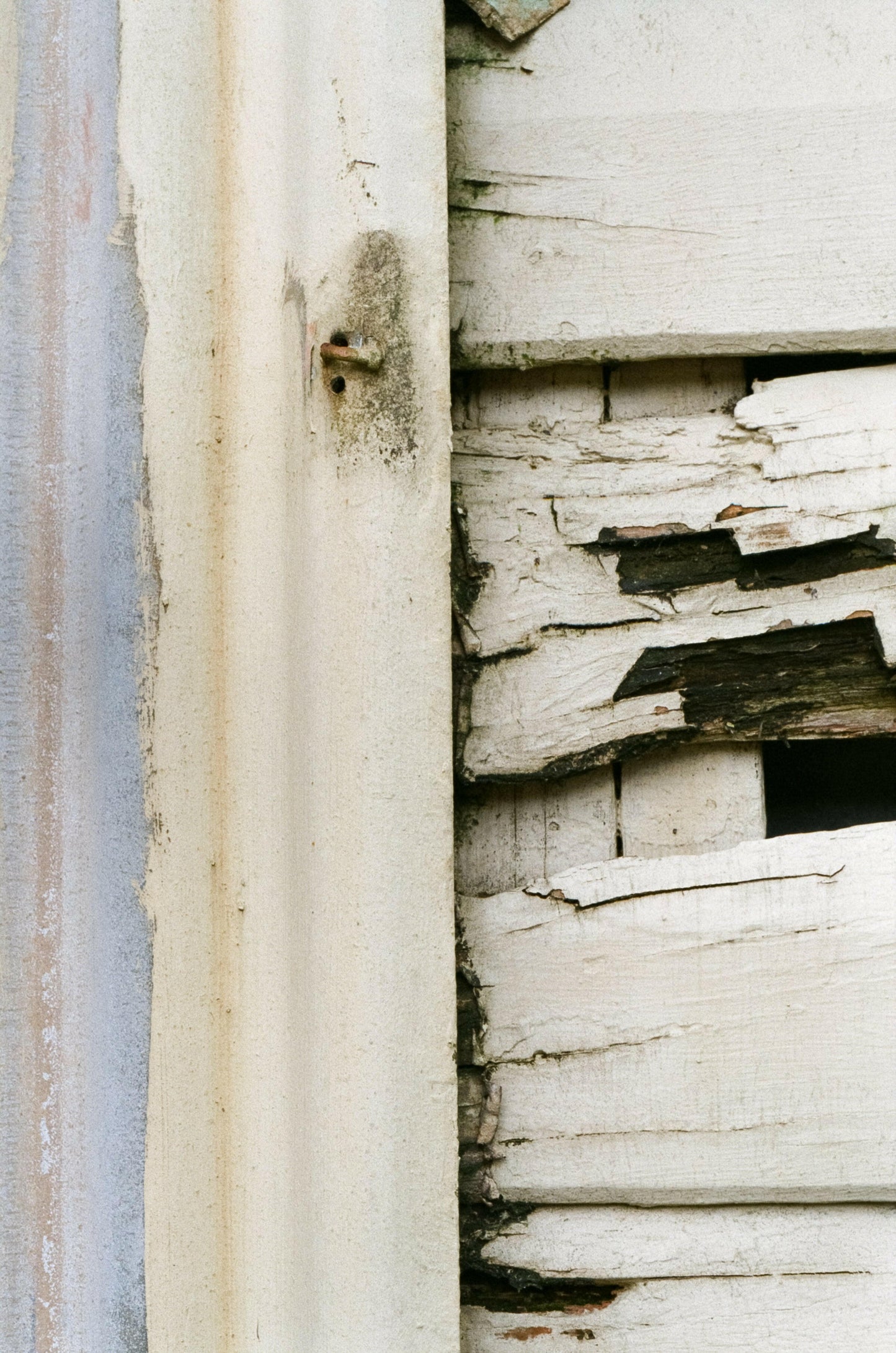 Pentax MX SLR film camera + 50mm lens.