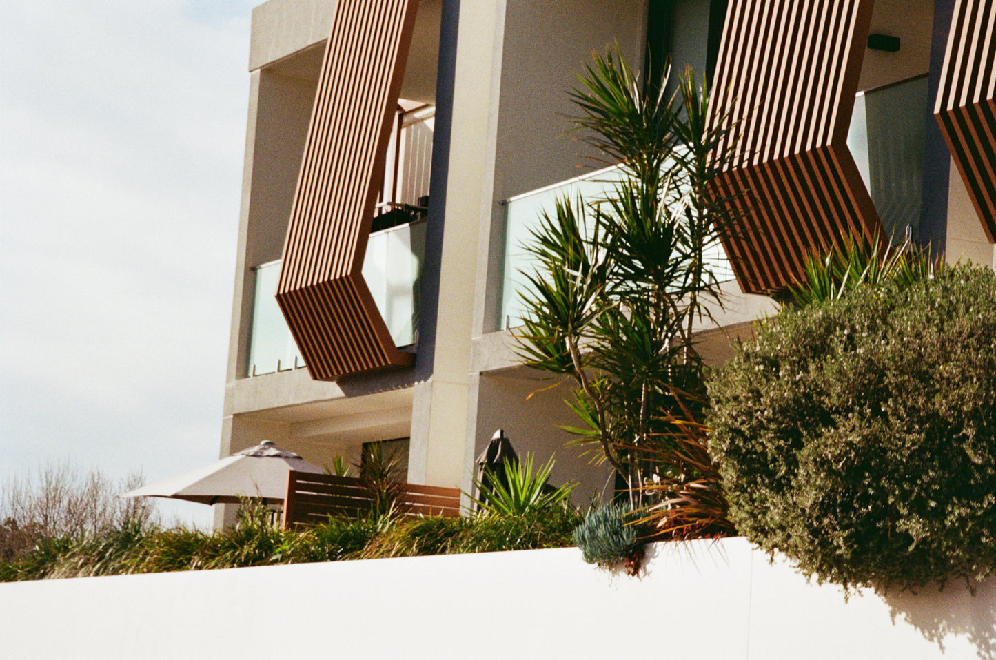 Olympus 'Superzoom' Citia 160 point-and-shoot film camera