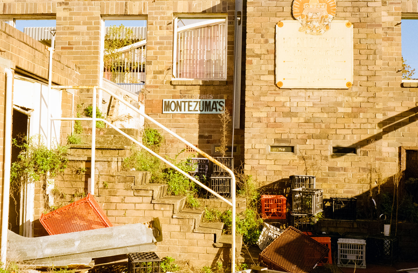 FILM TESTED Rollei 35T film camera