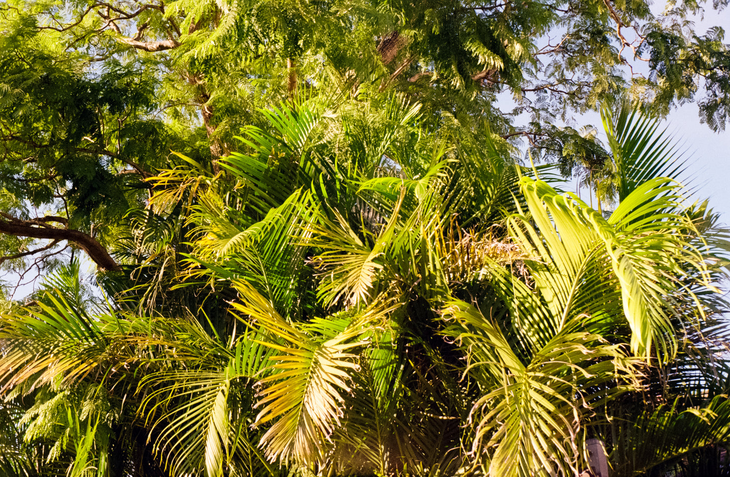 FILM TESTED Rollei 35T film camera