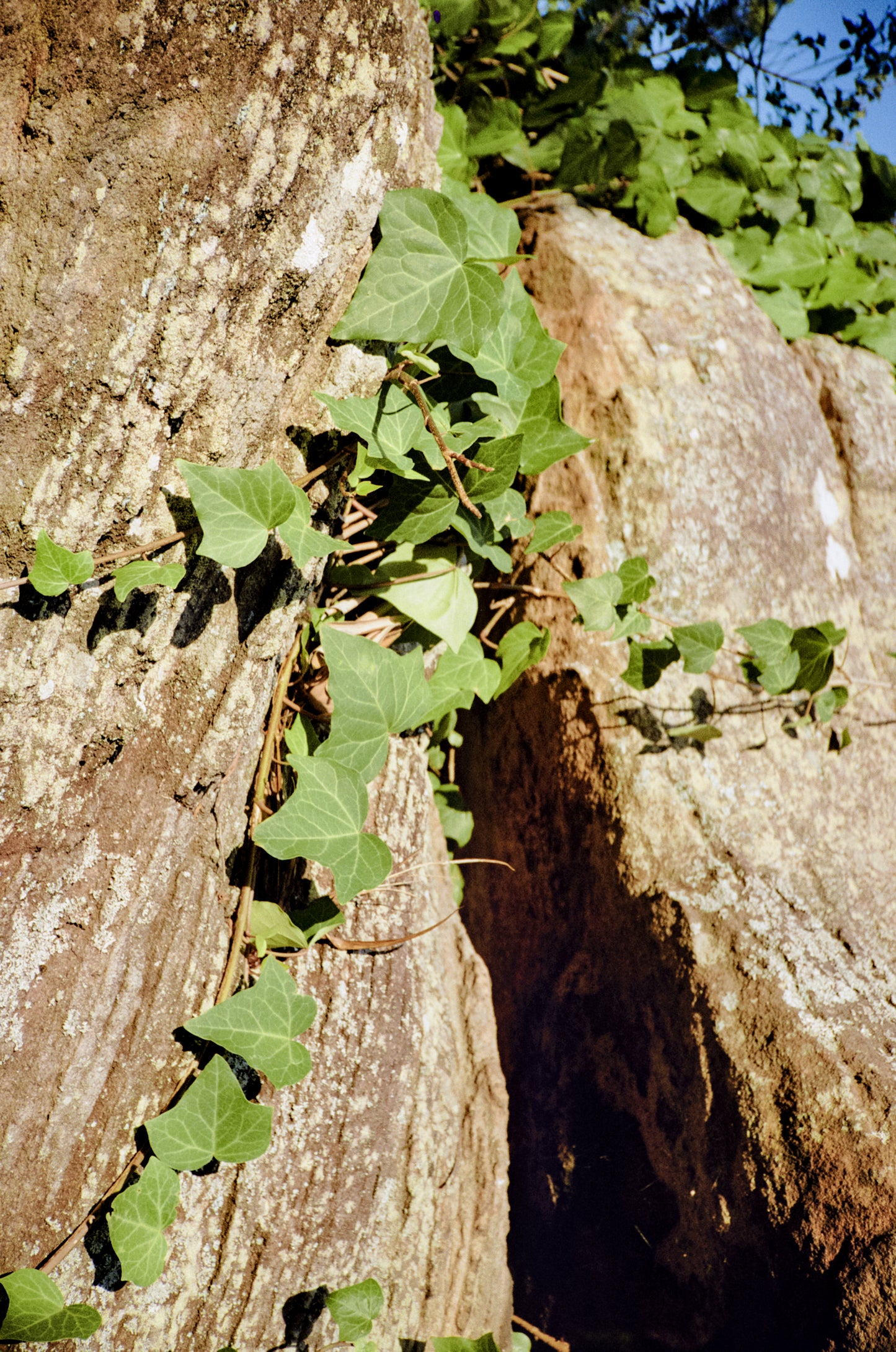 Fujica Auto 7 film camera