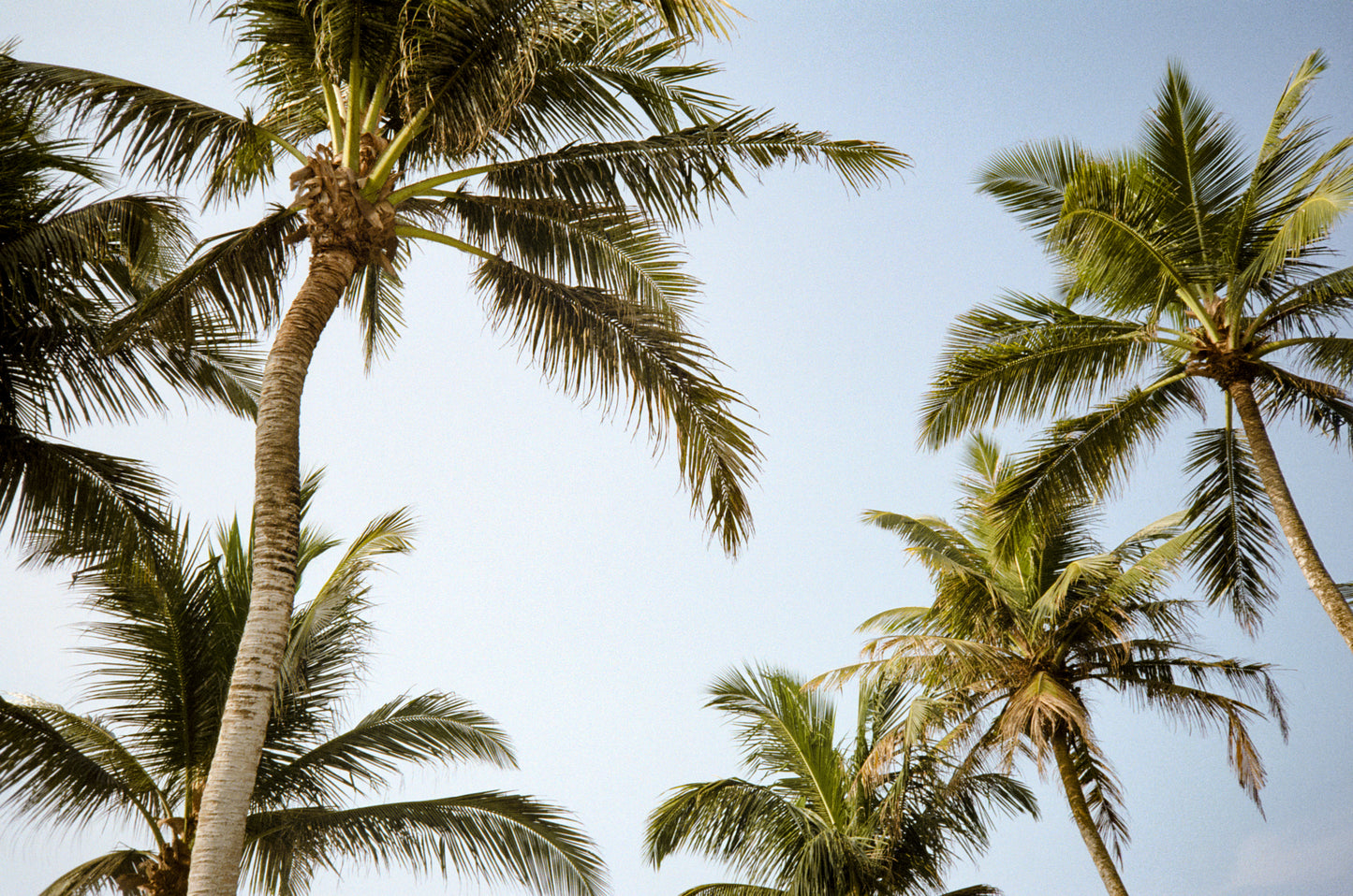 Olympus AF-10 point-and-shoot camera