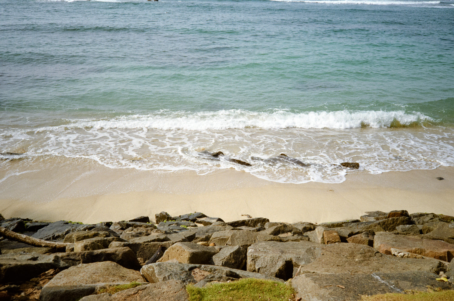 Olympus AF-10 point-and-shoot camera