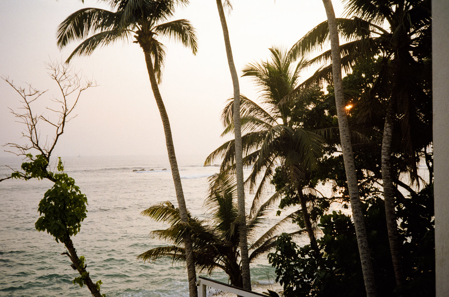 Olympus AF-10 point-and-shoot camera