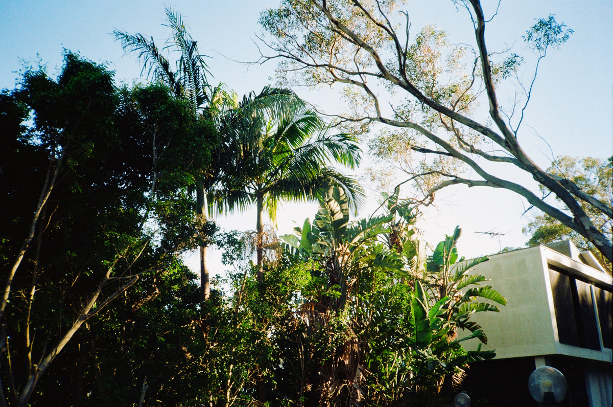 Olympus XA film camera - FILM TESTED