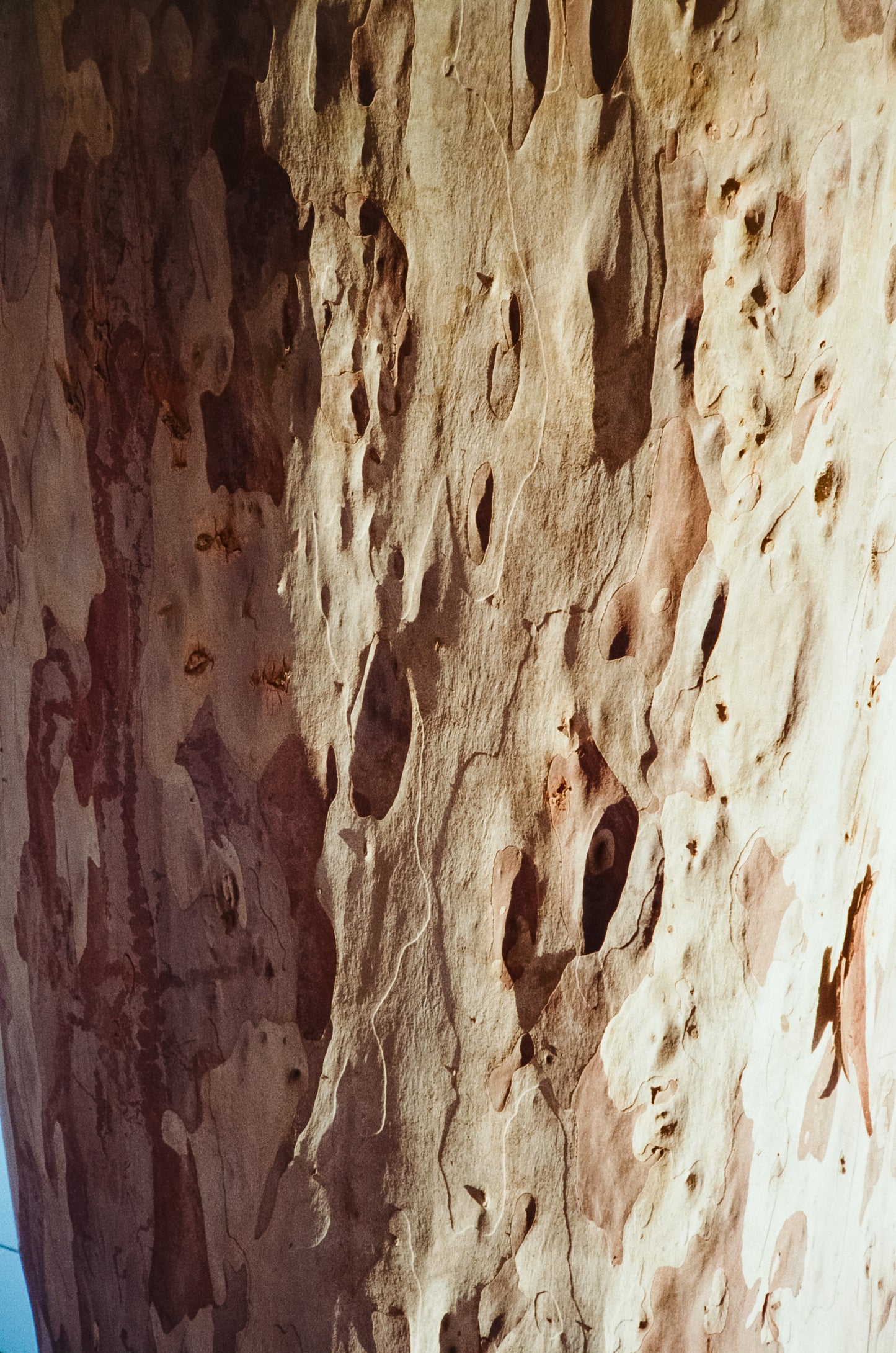 Olympus 35 ECR compact rangefinder film camera.